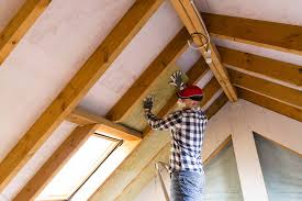 Best Commercial Insulation Services  in Nash, TX